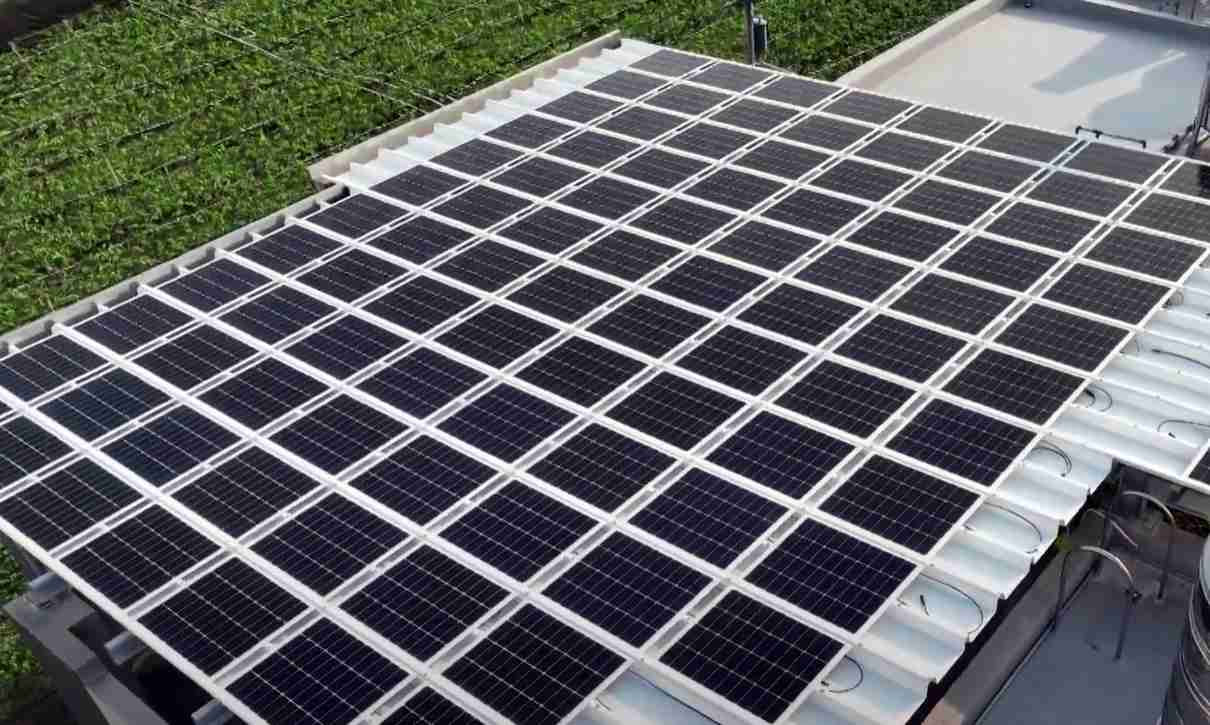 PG国际SunSteel光电浪板升级双玻结构，，以提升机械负载强度及气候耐候度，，，，可广泛运用于多元场域